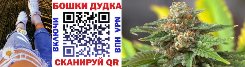 Марихуана гибрид  блэк спрут вход  Рудня  где купить  